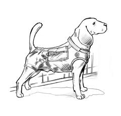 Large Animal Infusion System- Dog