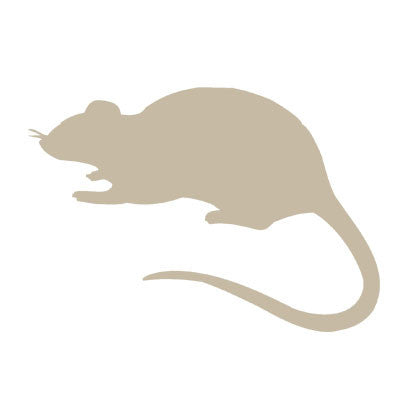 Rat outline