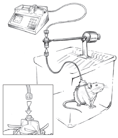 Rat and Mouse Complete Infusion System