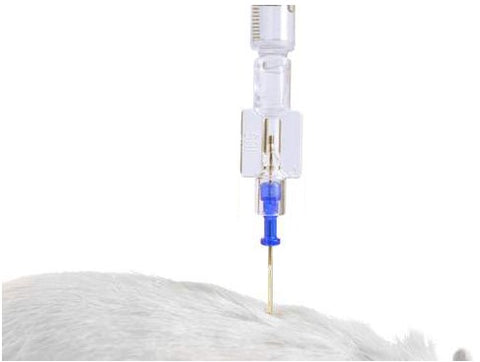catheter access port on a syringe with a catheter