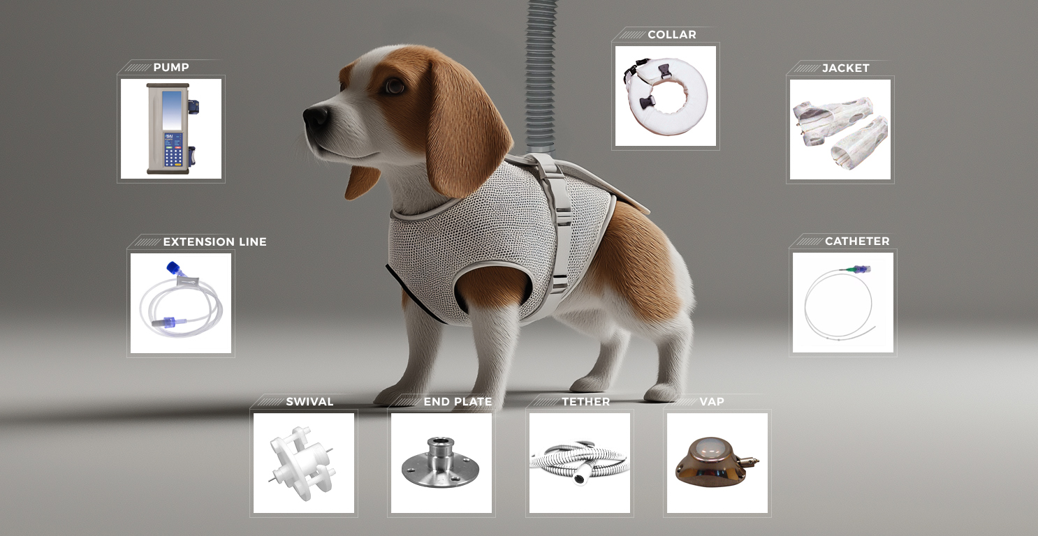 dog_tether_system