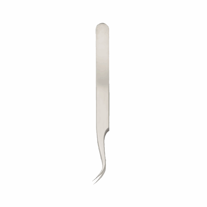 Curved Fine Tip Stainless Steel Forceps, 4.75"