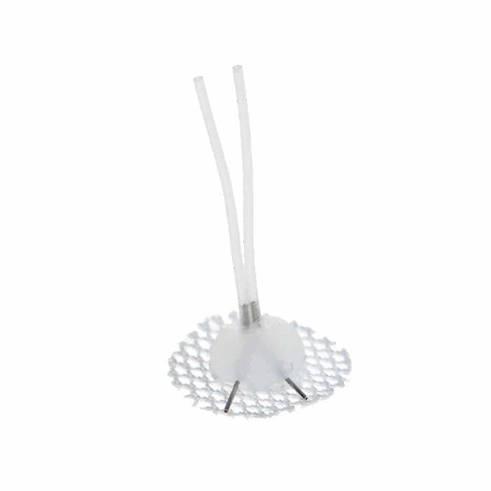Rodent Dual 25G Pin Implant