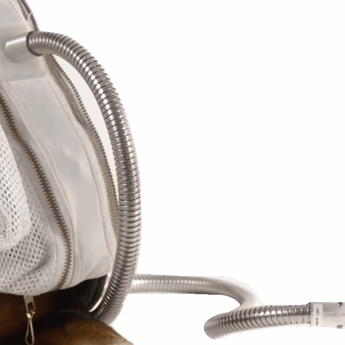 Large Animal Tether with Flex Coil