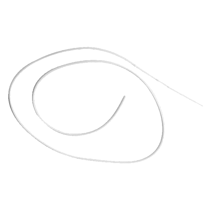 Primate Femoral Vein catheters