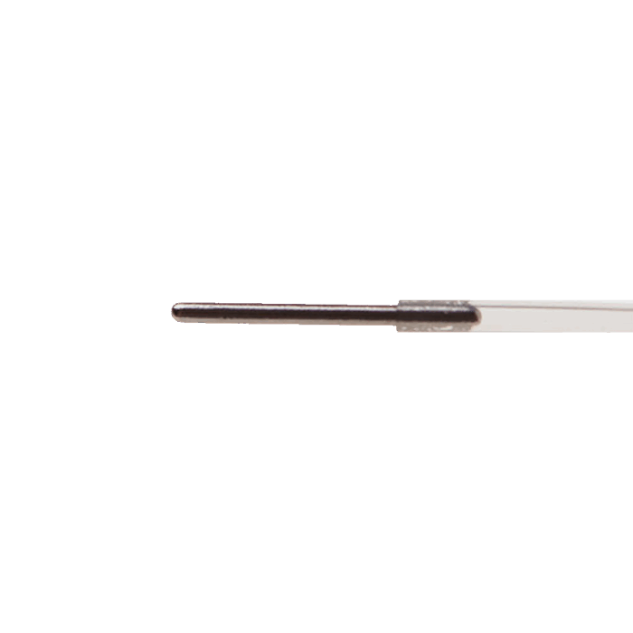 Catheter Plugs